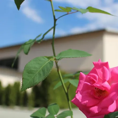 Apartmán Gaestehaus Lehmann Schonfeld (Meissen)