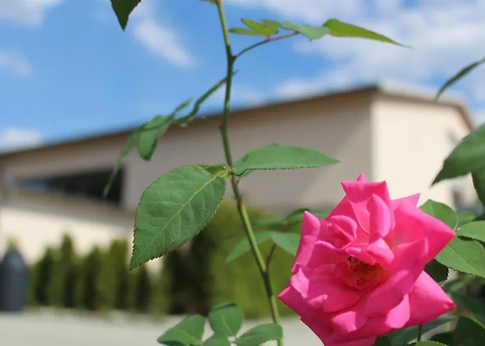 Apartment Lehmann Schonfeld (Meissen)